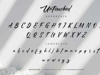 Untouched - Brush Script Font