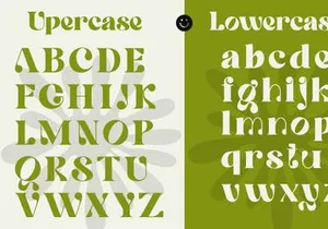 Quowist Display - Modern Unique Serif Display Font