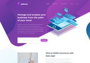 Sellmor Landing Page