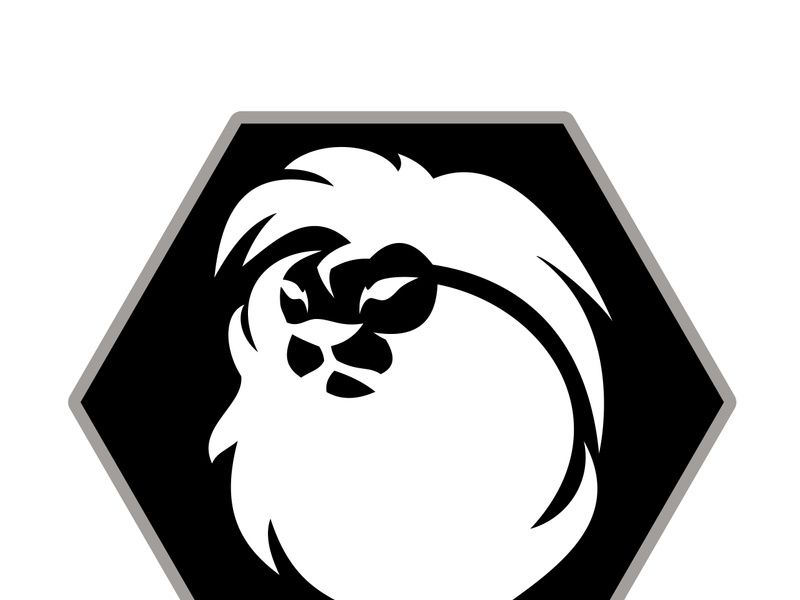 Lion logo