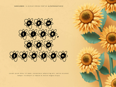 Sun Flower - Decorative Display Font