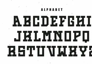 Strange Memory - Vintage Slab Serif