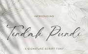 Tindak Pundi - Signature Script Font