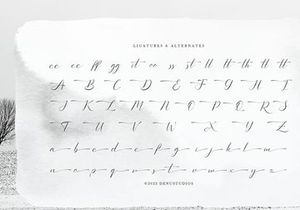 Sollutes Handy | Callighraphy Chic Font