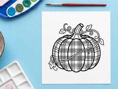 Plaid pumpkin line art illustration. Autumn harvest squash drawing with tartan pattern.
