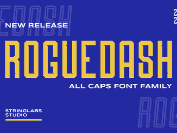 Roguedash - Stylish Sans Font Family preview picture