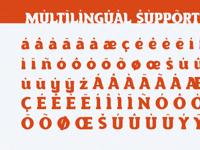 Torque - Serif Font