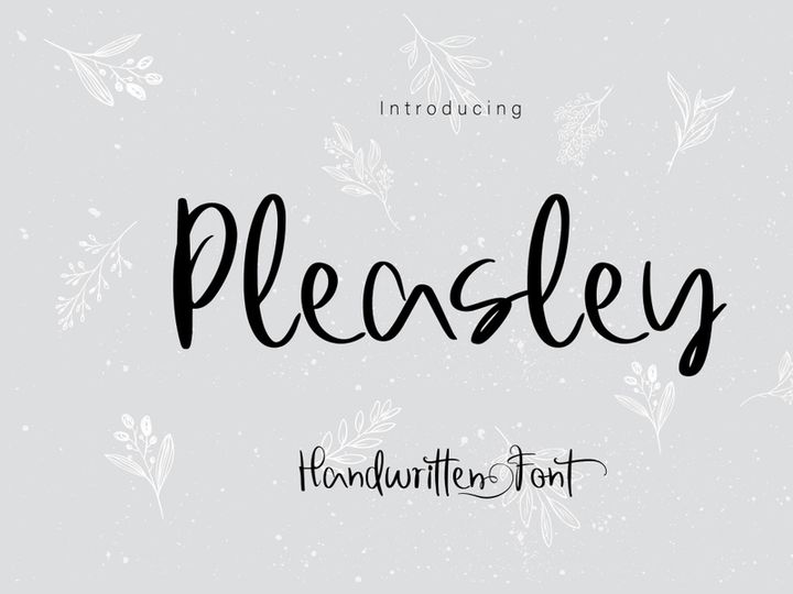 Pleasley preview picture