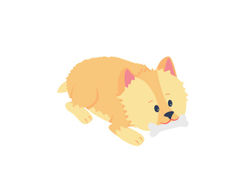 Terrier puppy chewing bone flat color vector detailed character preview picture
