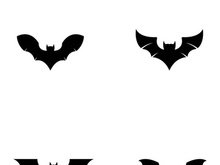 creative night bat silhouette logo.
