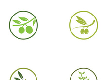Branched olive fruit logo with creative idea.