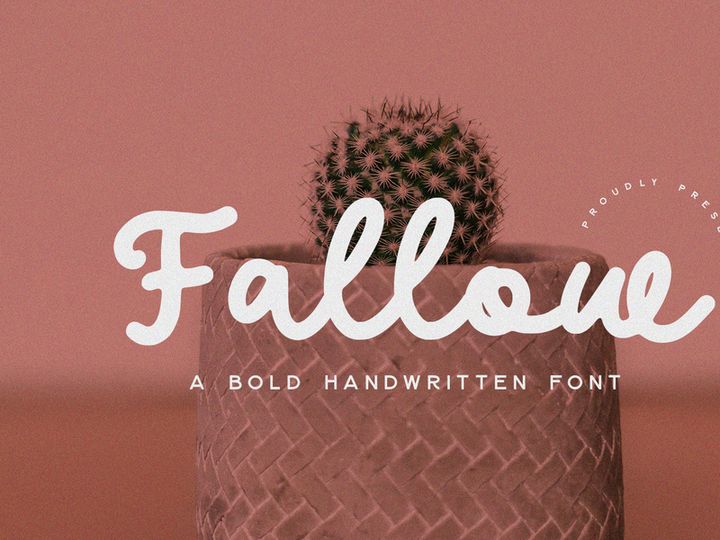 Fallow - Bold Handwritten