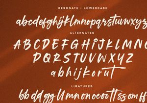 Resonate - Brush Script Font