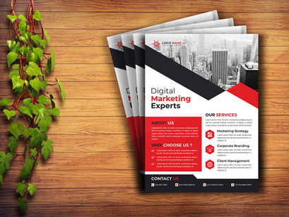 Professional Flyer Design Template