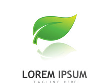 Natural green leaf logo design.