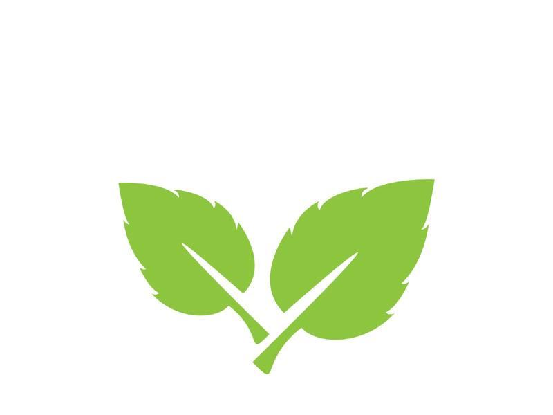 Leaf logo vector icon design template
