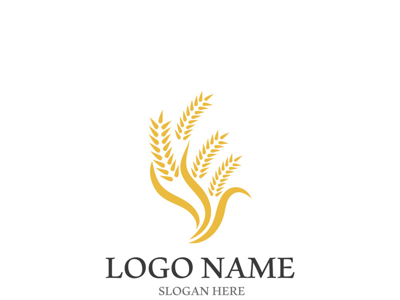 Wheat logo vector icon illustration design