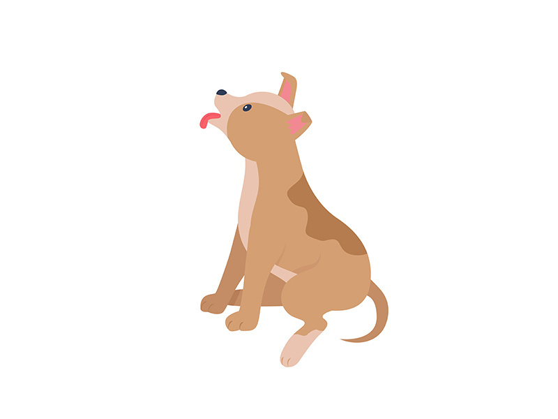 Adopt puppy from abroad semi flat color vector character