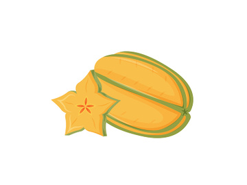 Carambola cartoon vector illustration preview picture