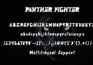 Panther Fighter