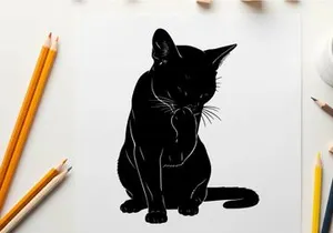 Silhouette of a black cat sitting and looking down