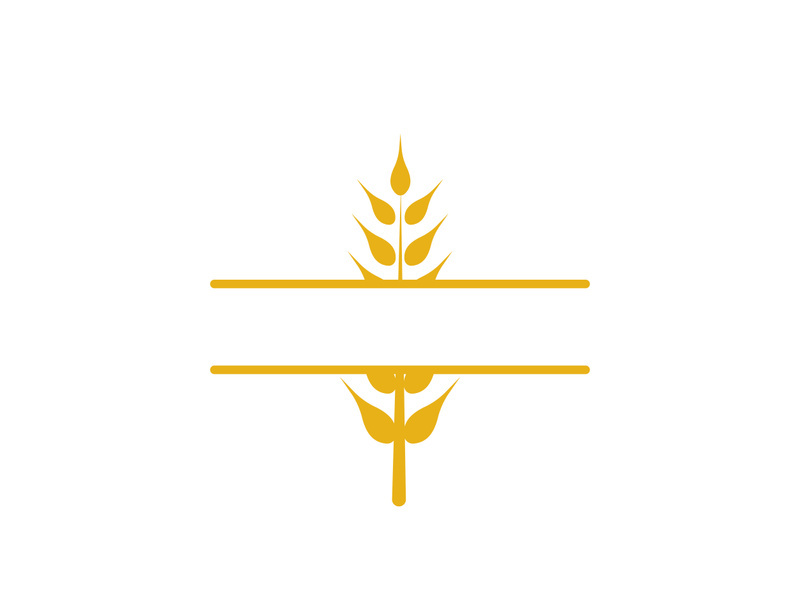 Agriculture wheat vector