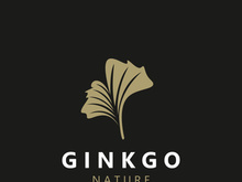 Ginkgo leaf biloba logo nature. Healthy ingredient that is used in medicine for disease treatment with line art style design
