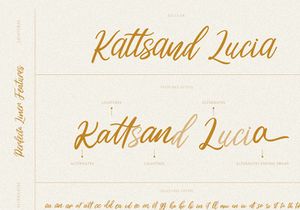 Perfecta Liner - Handwritten Script