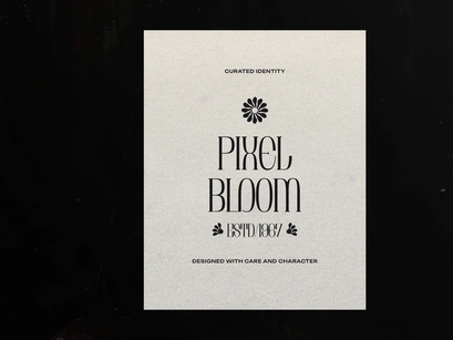 Brunelis Noctelle | Display Serif Font