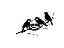Silhouette of birds on a flowering branch with nest