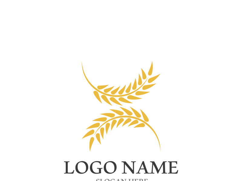 Wheat logo vector icon illustration design