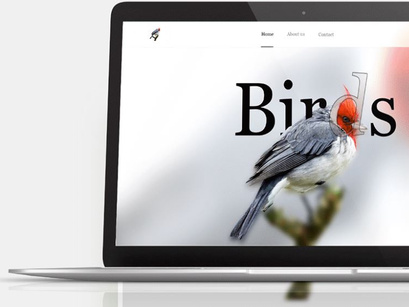 Birds Website Design-Free Glassmorphism-Responsive