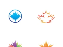 Maple leaf logo design with creative idea