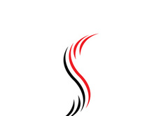 Business corporate S letter logo