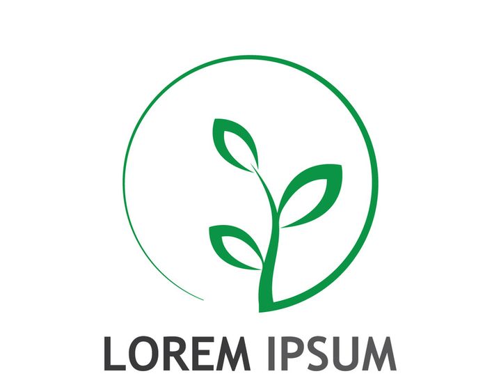 Natural green leaf logo design.