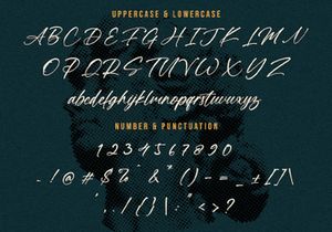 Mugen Ragi - Modern Script Font