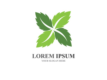 Eco leaf green tree logo template preview picture