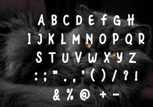 Black Cats