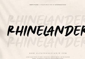 North Plains - Rough Brush Font