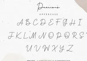 Precious - Signature Font