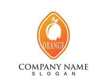 Orange logo design Vector icon illustration design