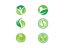 Green Tree leaf ecology nature element