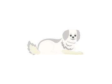 White terrier flat color vector character preview picture