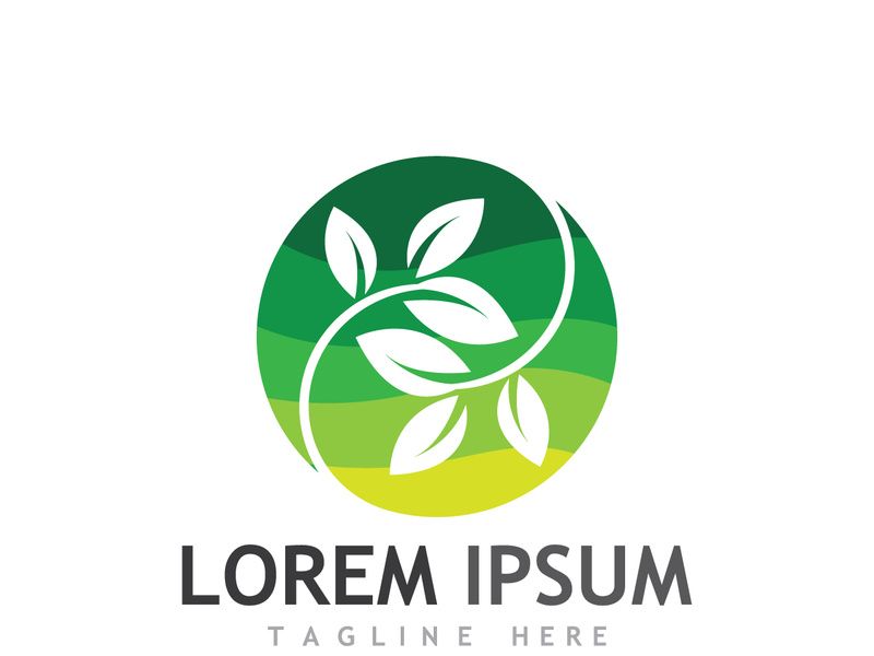 Natural green leaf logo.