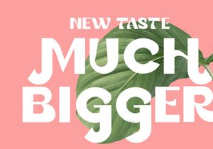 Gania Display Typeface