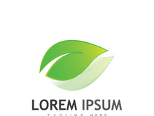 Natural green leaf logo design.