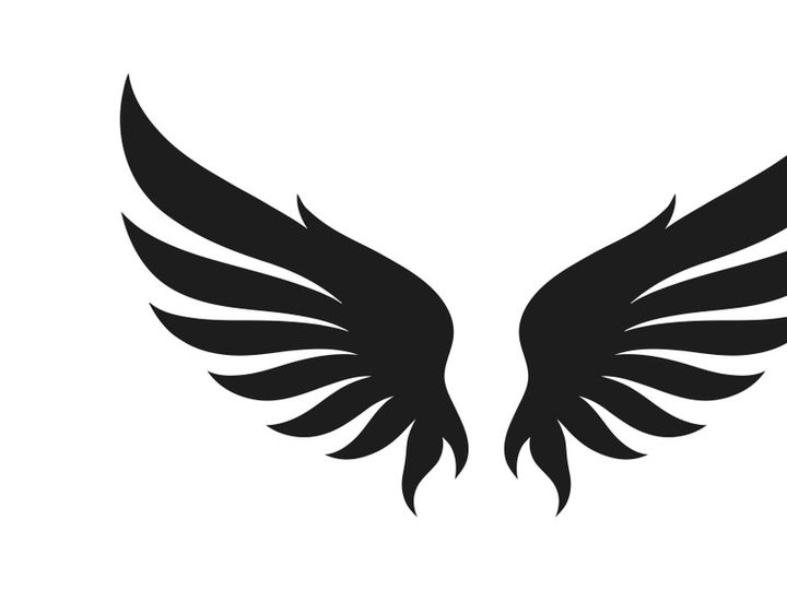 black bird wing logo vector