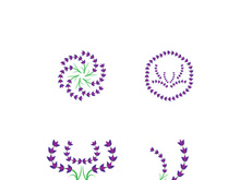 Fresh lavender flower logo vector flat design