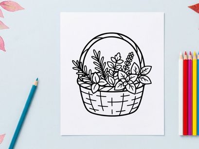 Kräuter-Linie in Strichzeichnung. Handgezeichnete Illustration aromatischer Gartenpflanzen.
