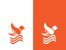 Dove bird logo vector design illustration